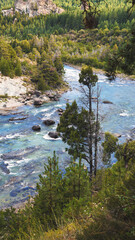 torrential river in a forest in San Martin de los Andes, Neuquen, Argentina