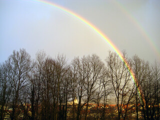 city shape of marktheidenfeld under a rainbow behind trees in winter