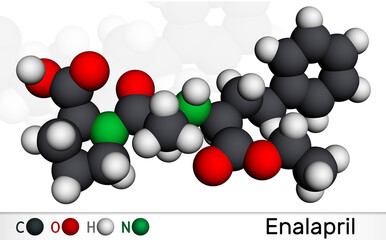 Enalapril, molecule. It is ACE inhibitor medication to treat high blood pressure, heart failure. Molecular model. 3D rendering