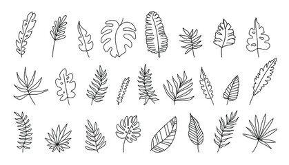 Hand drawn Set of tropical leaves in silhouettes. Palm, monstera, banana tree. Elements flowers, branches, swashes and flourishes. Vector cute doodle isolated - obrazy, fototapety, plakaty