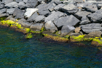 Border between rocky beach and sea, gray rough boulders on the coast. Green algae on stones and beautiful turquoise blue water, breaking waves in bright sunlight. Concept of summer, vacation, travel