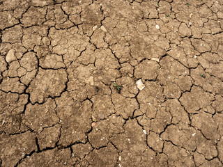 DRY