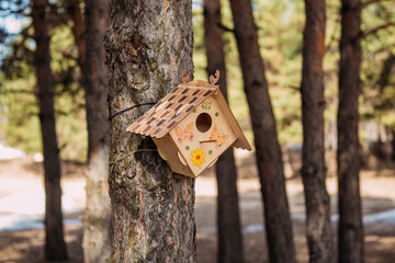 birdhouse, bird feeder, spring in the forest, nature