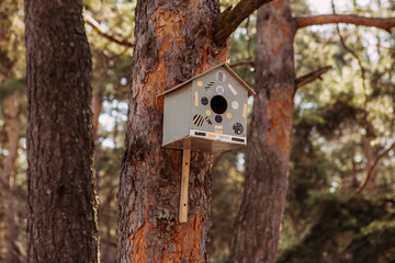birdhouse, bird feeder, spring in the forest, nature
