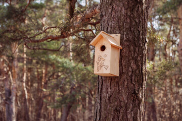 birdhouse, bird feeder, spring in the forest, nature