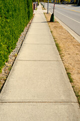 Sidewalk with a beautiful outdoor landscape and a row of trees.