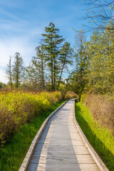 Trail in Deer Lake Park, Vancouver, Canada.