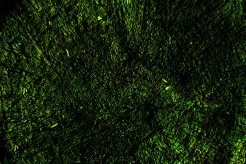 Abstract background of dark green color. Background texture.