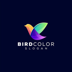 spa color gradient logo design