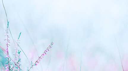 Beautiful Soft Spring Summer Nature Background.