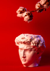 Plaster pot in the form of David's head and branch of cotton on a red background.