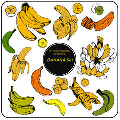 set of bananas, hand drawn bananas, coloured set with bananas 