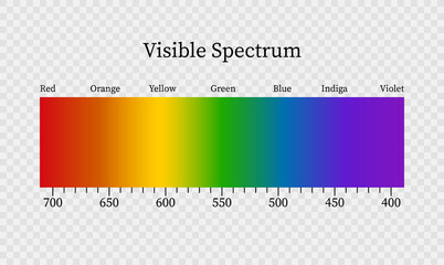 Spectrum. Portion of the electromagnetic spectrum that is visible to the human eye. Color electromagnetic spectrum. Infrared and ultraviolet. Vector illustration.