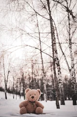 Foto op Aluminium The toy bear was left in the winter at the children's playground © Natalia