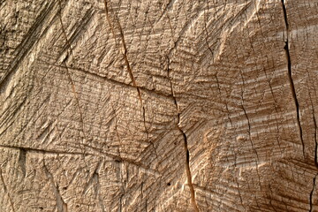 natural old wood texture background with the cracks