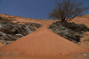 Desert dune with rocks