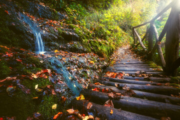 The enchanted forest. Autumn at Orfento Valley, Caramanico Terme, Pescara, Abruzzo, Italy