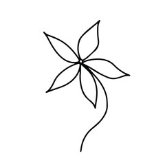 Vector hand drawing tropical flower on white background isolated.