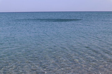 Scenic view of clear sea water and a school of fish on the horizon on a summer day, Calabria, Italy