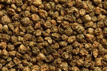 Dried chrysanthemum flowers as a background.