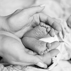 BABY HEELS IN THE PALMS OF MOM