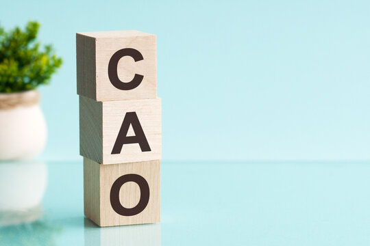 three wooden cubes with letters cao - short for chief accounting officer, concept