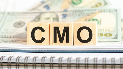 cmo - chief marketing officer, business concept on cubes and dollars