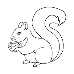 The squirrel is holding a hazelnut. Coloring page. Squirrel black outline on white. Vector