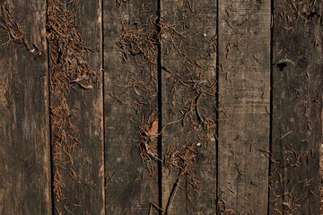 Background from old wooden boards.