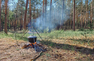 Cooking in nature. Weekend in a pine forest.