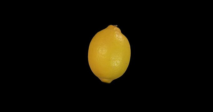 Yellow citron/lemon spinning 720 degrees isolated on black