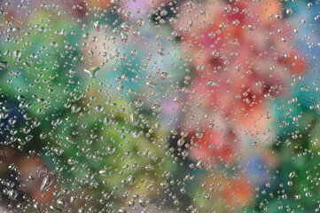 Abstract multicolored blurred background with water and oil on the surface