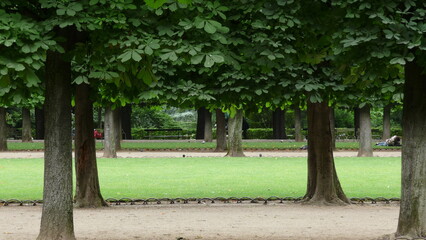 Paris garden park