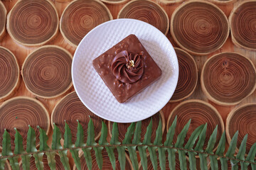 chocolate dessert with filling of caramel, nuts and nougats. The cake is covered with chocolate on a wooded background with a morning natural light