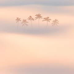 Palm trees. Foggy clouds. Fog waves. Morning mist. Natural landscape
