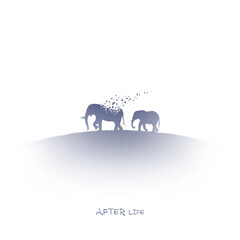 Elephant family, flying birds. Endangered animal. Isolated ink element