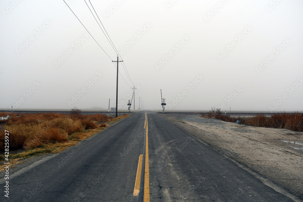 Wall mural vertical shot of an empty road fog