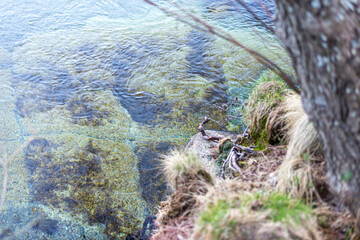 AGUA CRISTALINA MONTAÑA DE GREDOS