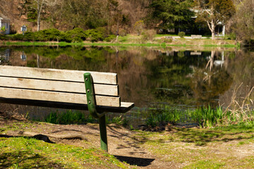 Serene scene park bench at waterside in spring