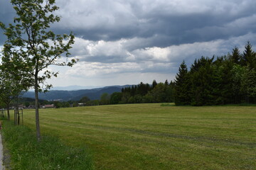 Obraz premium Landscape