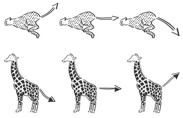 野生動物　しっぽ矢印セット　手描き　線画　モノクロ