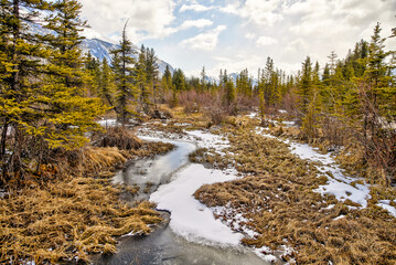 Landscapes along Policeman's Creek in Canmore Alberta amidst the Rocky Mountains