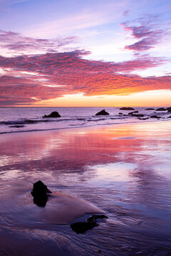 Low tide sunset