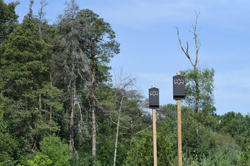 Bat Boxes