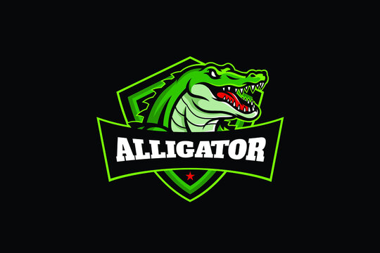 Head of Alligator Sport Team Logo Design
