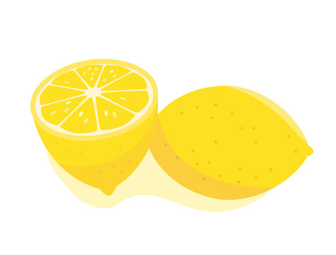 4 634 Best 輪切り Images Stock Photos Vectors Adobe Stock