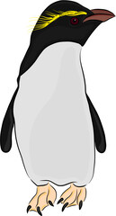 Moseley’s penguin