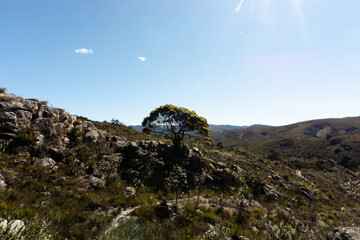 Naklejka premium Alto palácio, Santana do Riacho - Minas Gerais