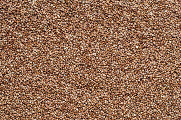 raw fried buckwheat
