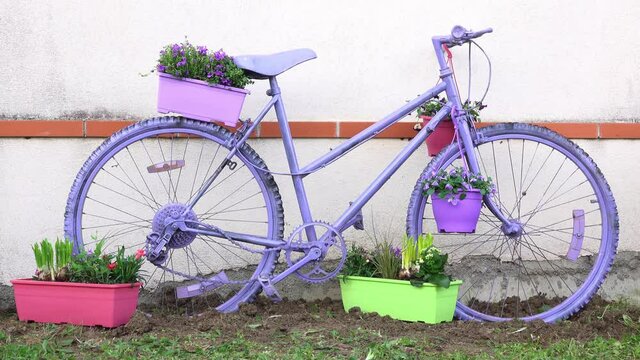 Garden decoration with a flower bed and an old painted bicycle.